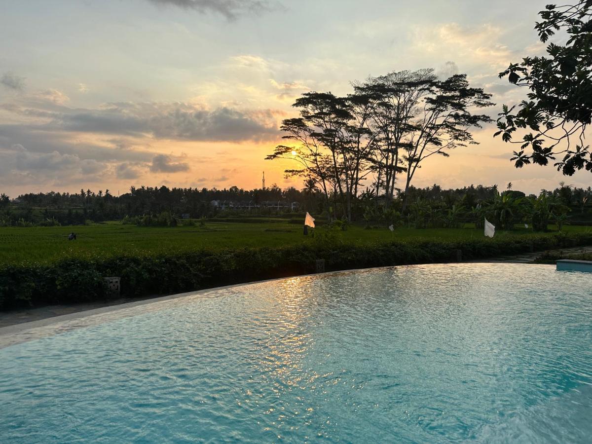 Griya Kcb Villa Ubud  Bagian luar foto