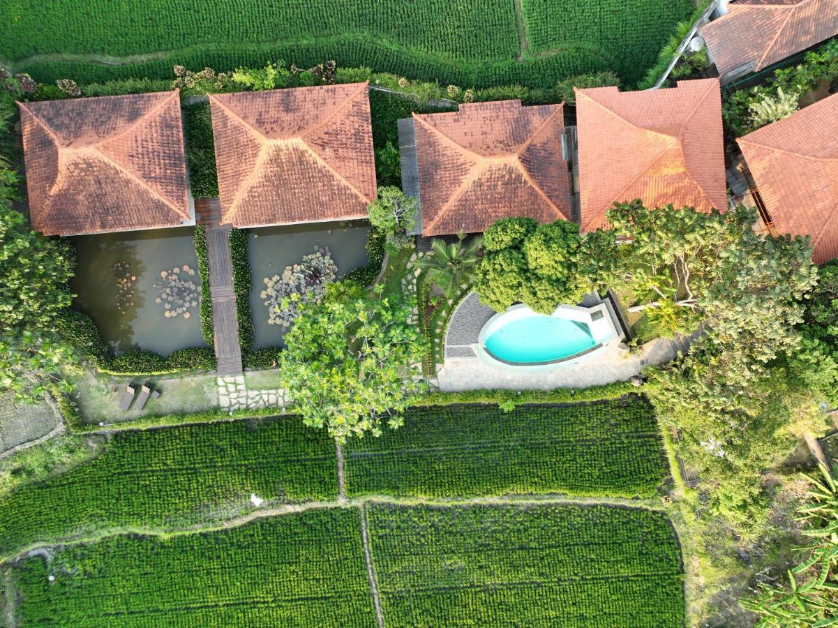 Griya Kcb Villa Ubud  Bagian luar foto