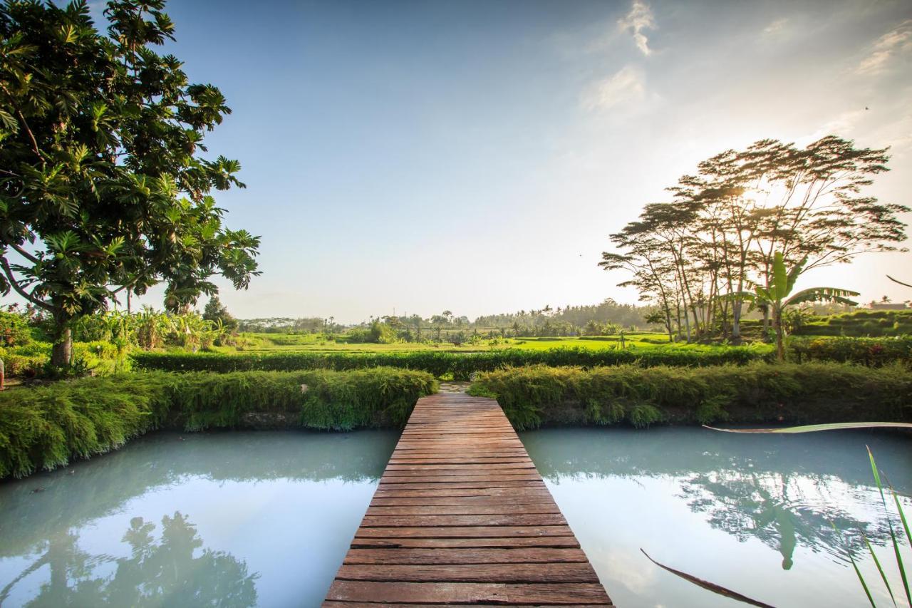 Griya Kcb Villa Ubud  Bagian luar foto