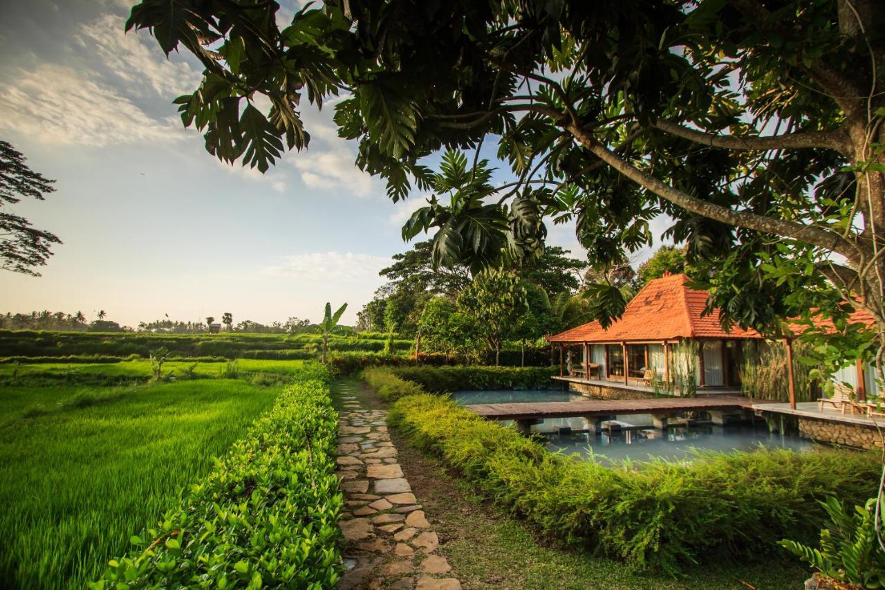 Griya Kcb Villa Ubud  Bagian luar foto