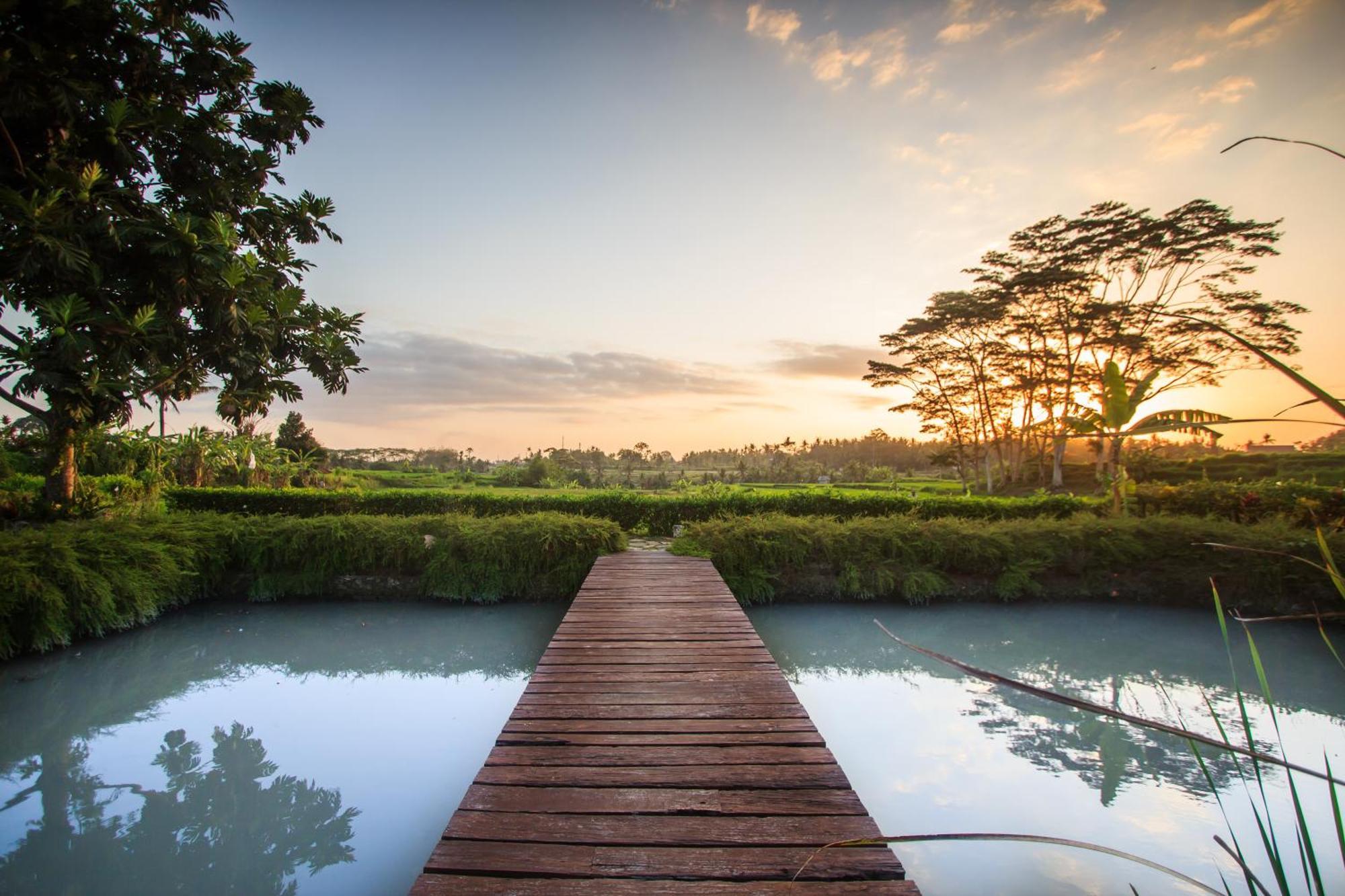 Griya Kcb Villa Ubud  Bagian luar foto