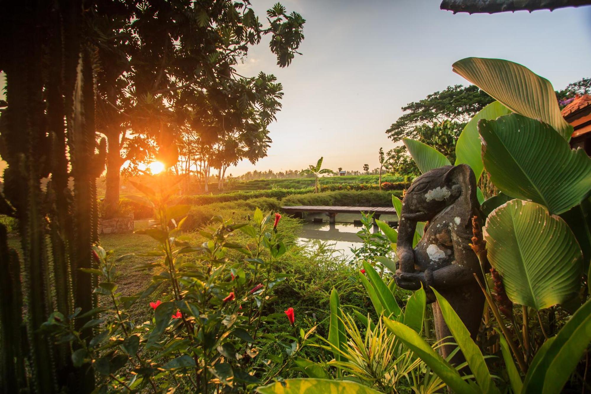 Griya Kcb Villa Ubud  Bagian luar foto