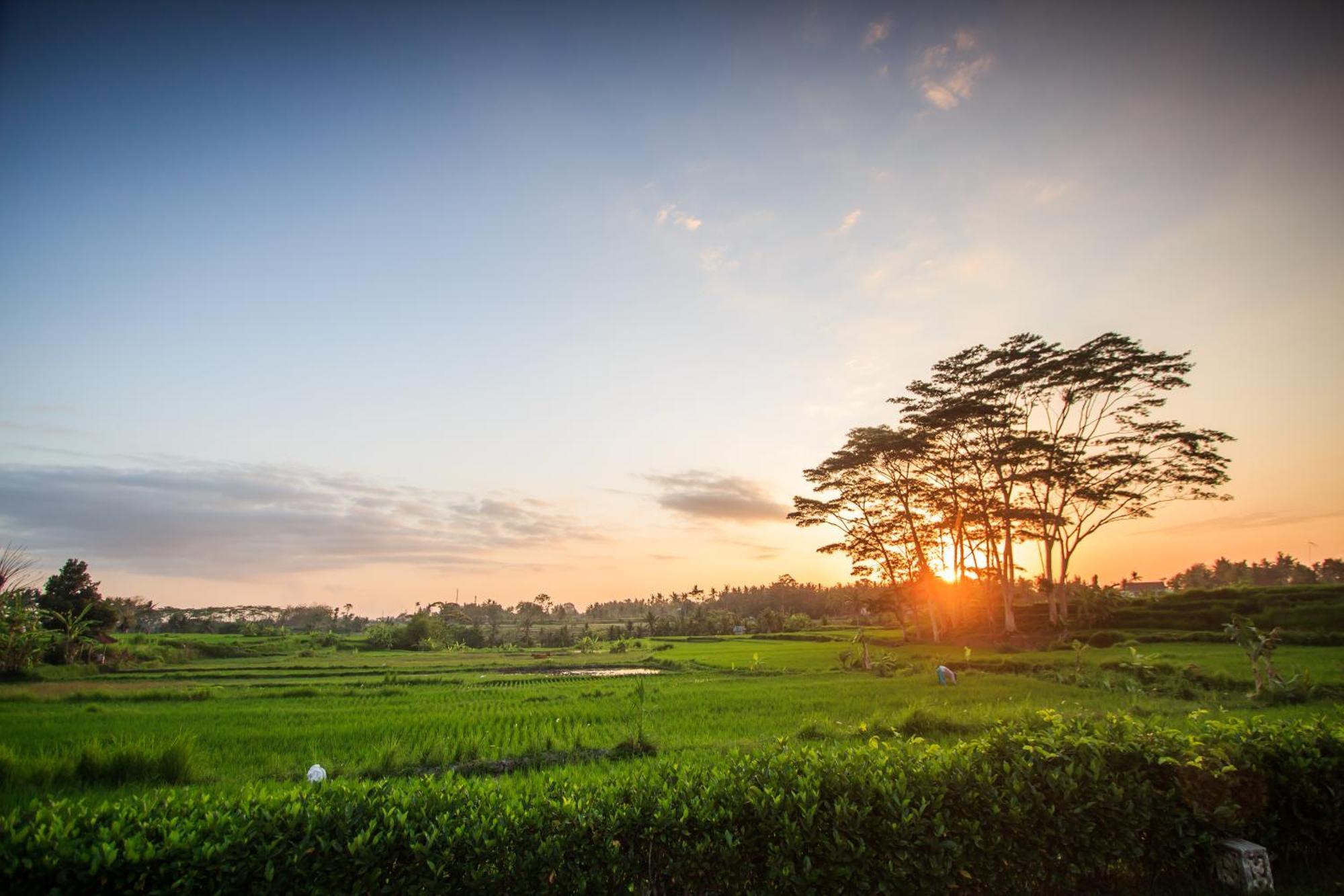 Griya Kcb Villa Ubud  Bagian luar foto